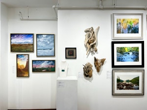 VERMONT SUMMER GROUP SHOW 5th Annual  