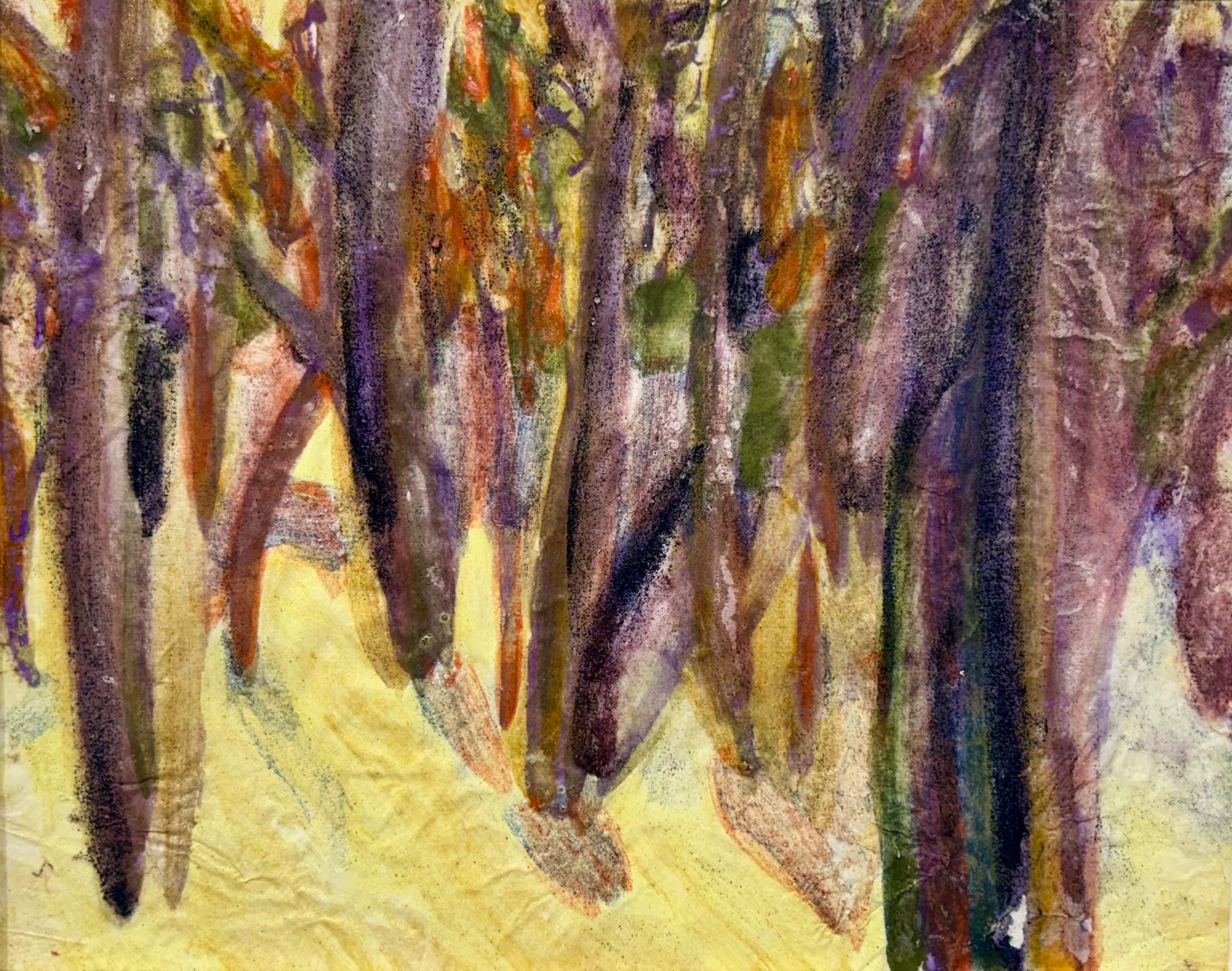 MC Noyes Vermont Trees 61 