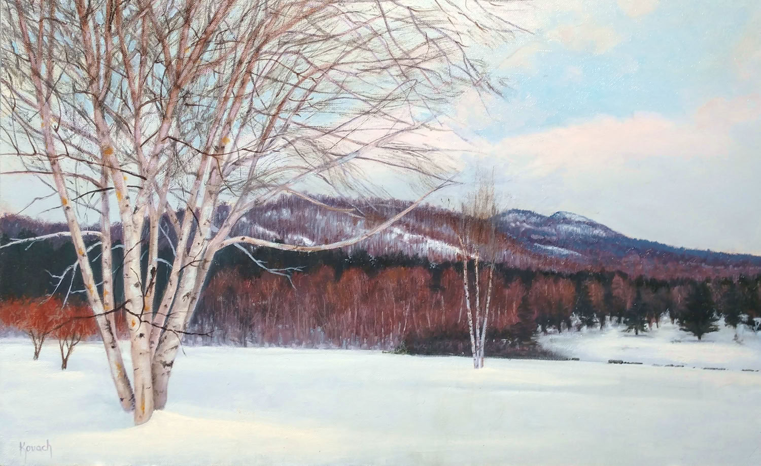 Steve P Kovach Owls Head