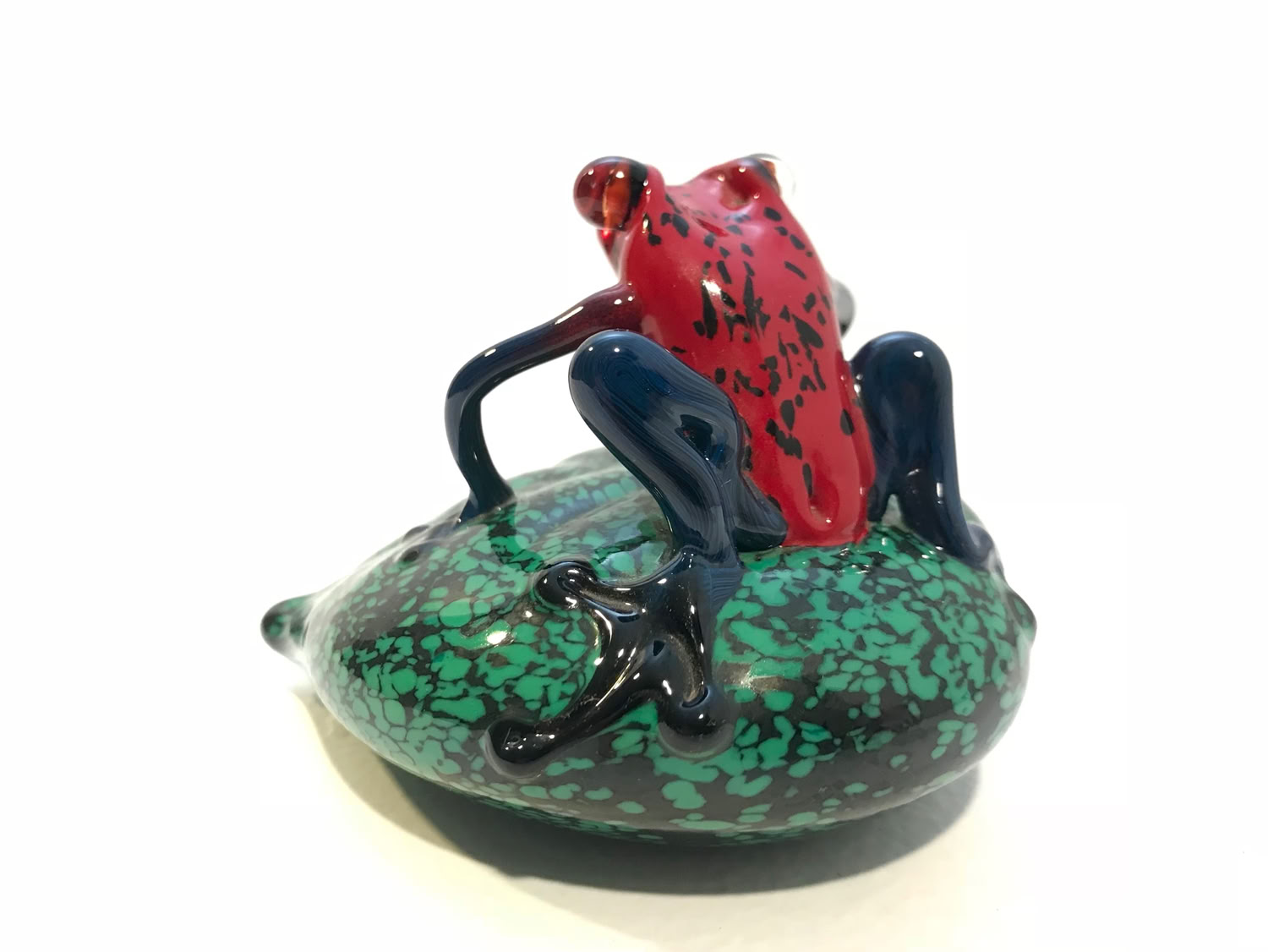 Chris Sherwin Red Poison Dart Frog