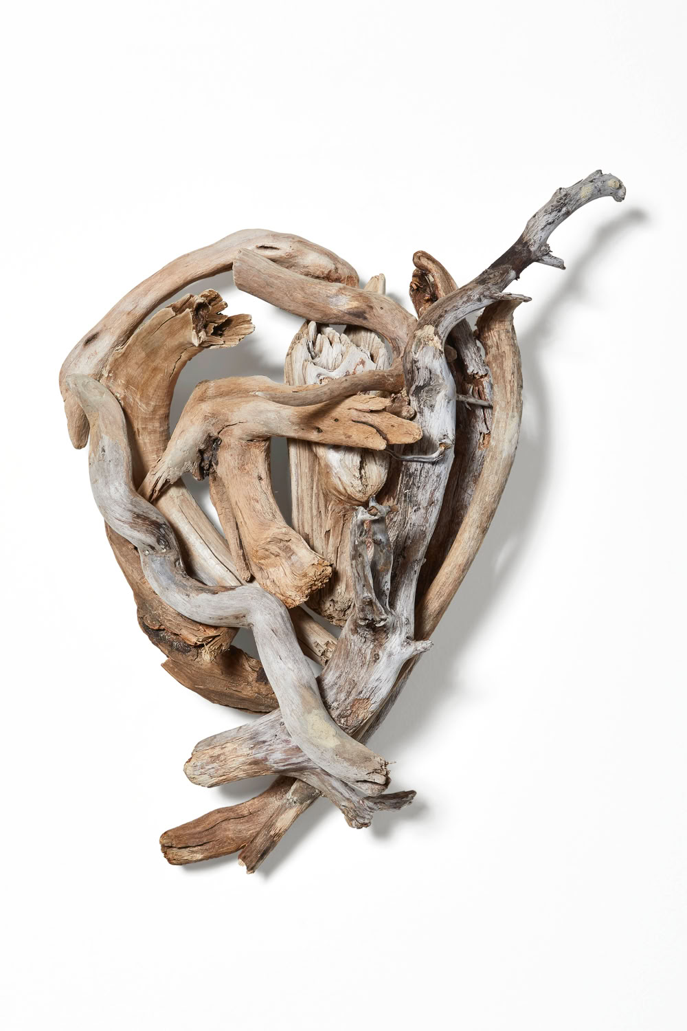 Phyllis Rosser Nests of Waterbays 