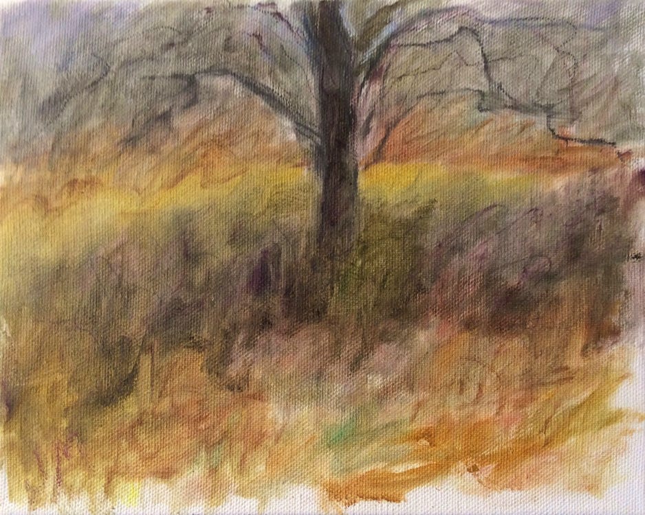 jeanne-mcmahan_apple-tree-early-spring_2020_oil-on-canvas_8x10in