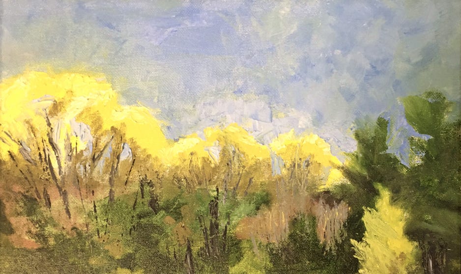 Marcie Maynard First signs of Spring