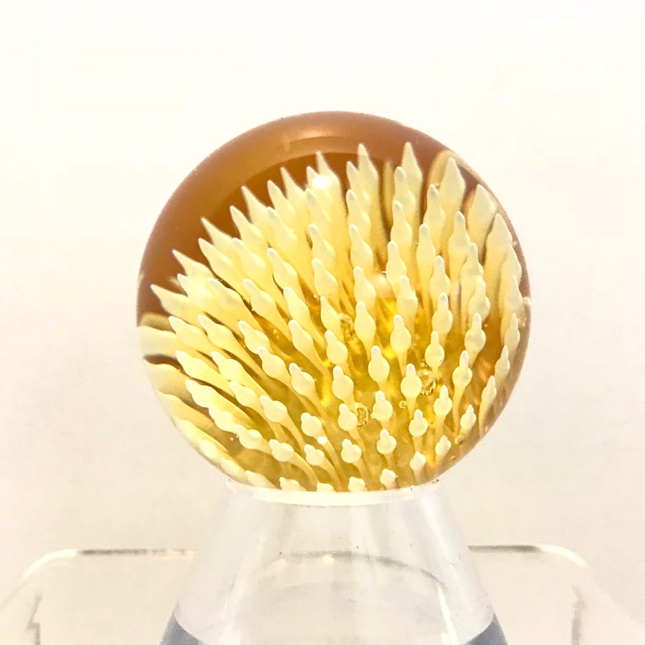 Aaron Slater Anemone Marble (medium, yellow)