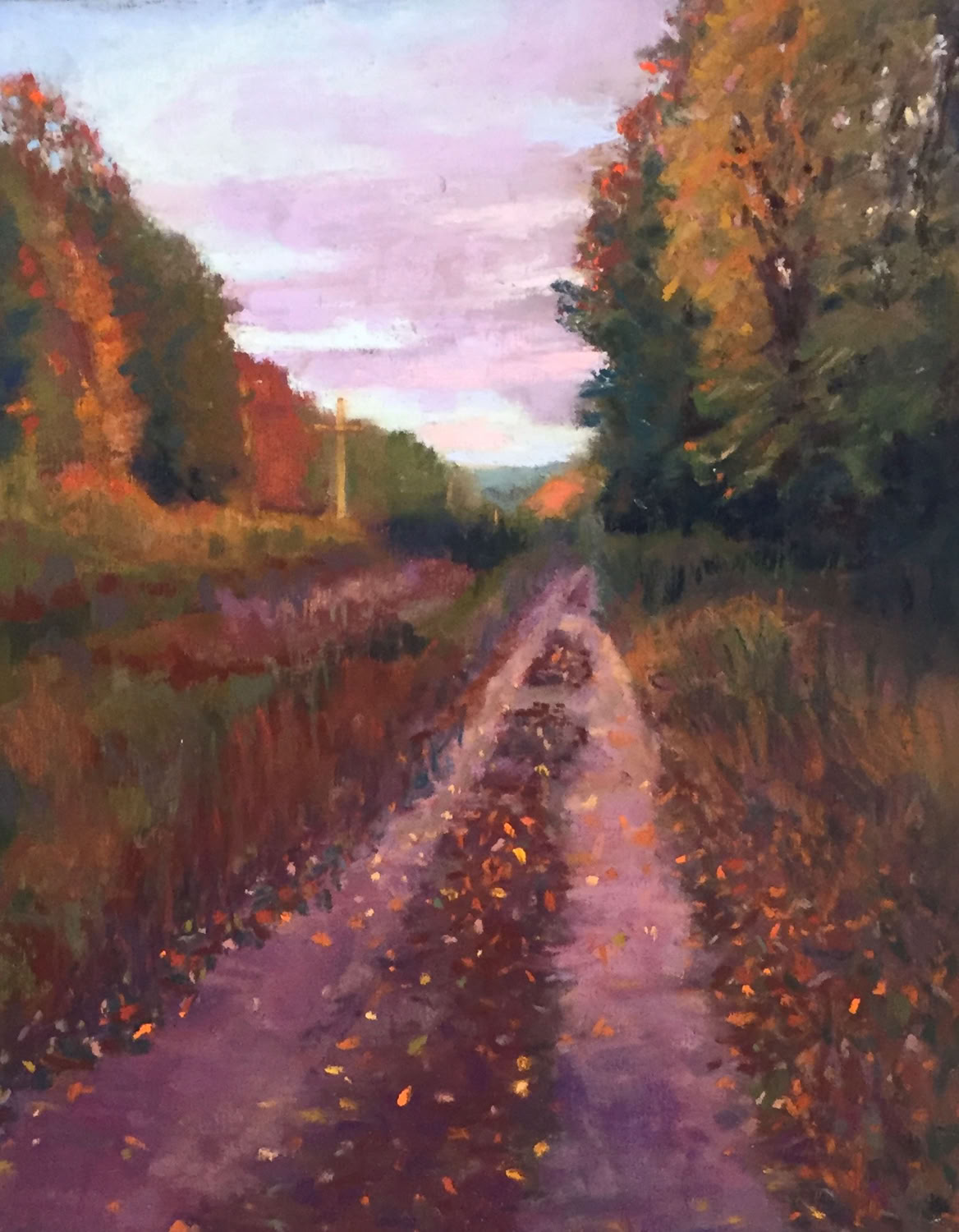 Deedee Jones Wantastiquet Trail