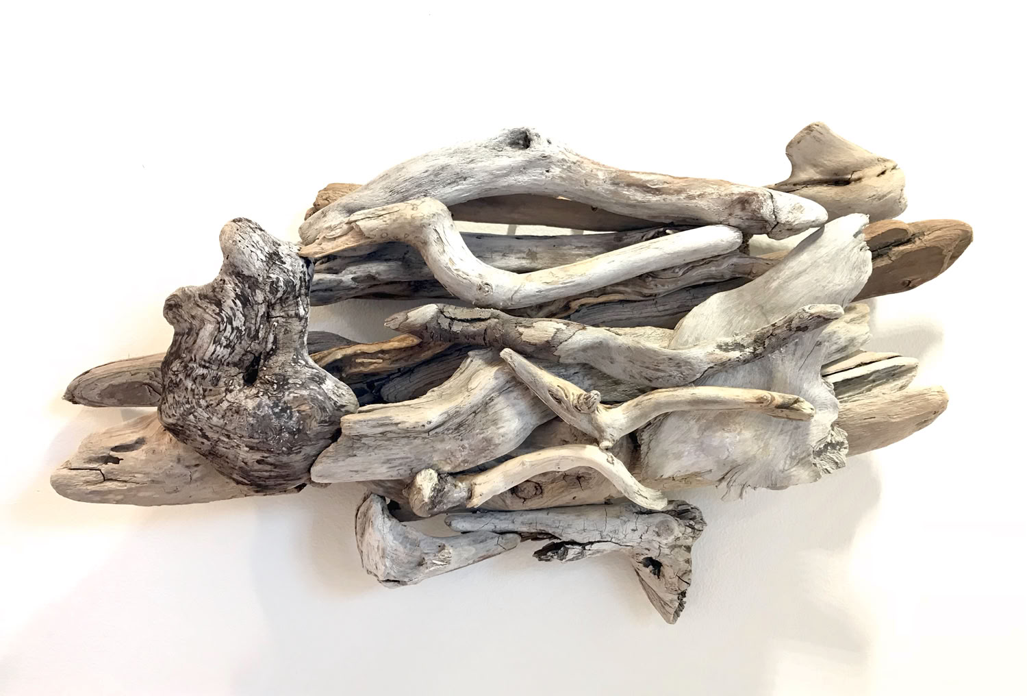 Phyllis Rosser Drifting Sage