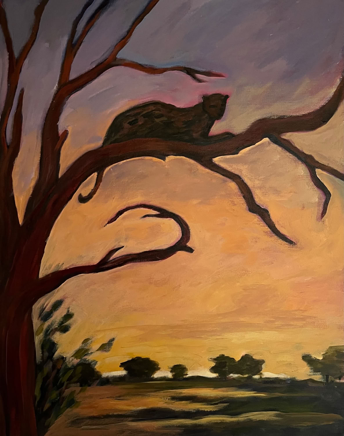 Carol Keiser Leopards at Sundown, Zambia