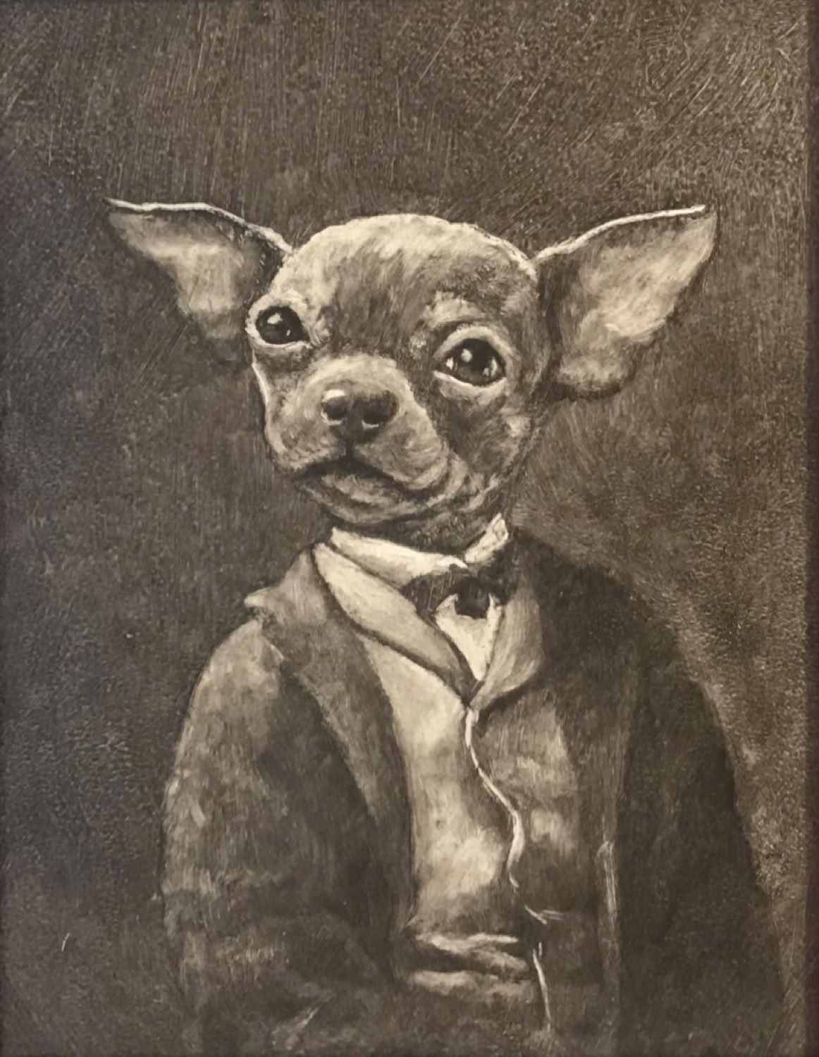 John Steven Gurney Chihuahua 2019