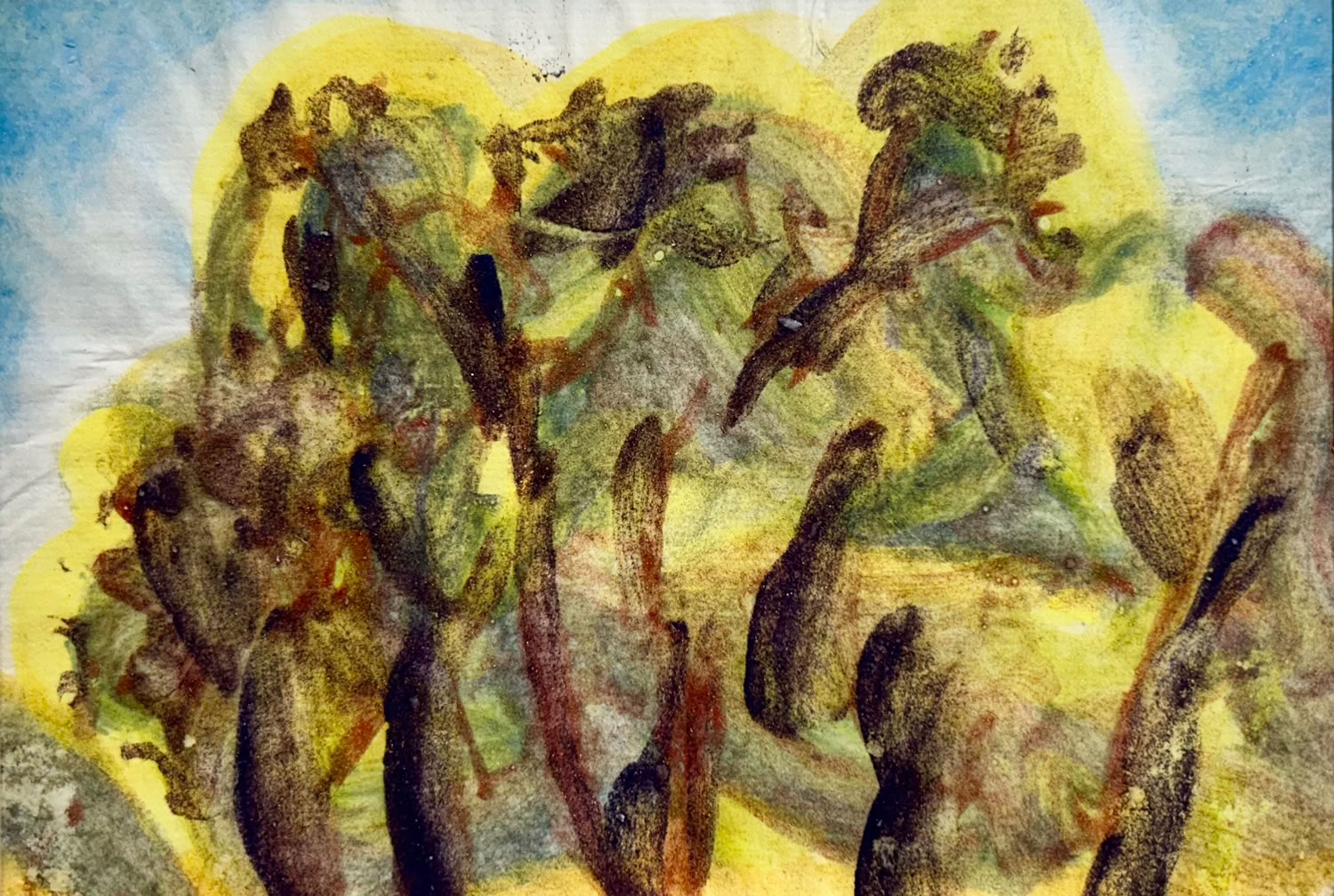 MC Noyes Vermont Trees 67