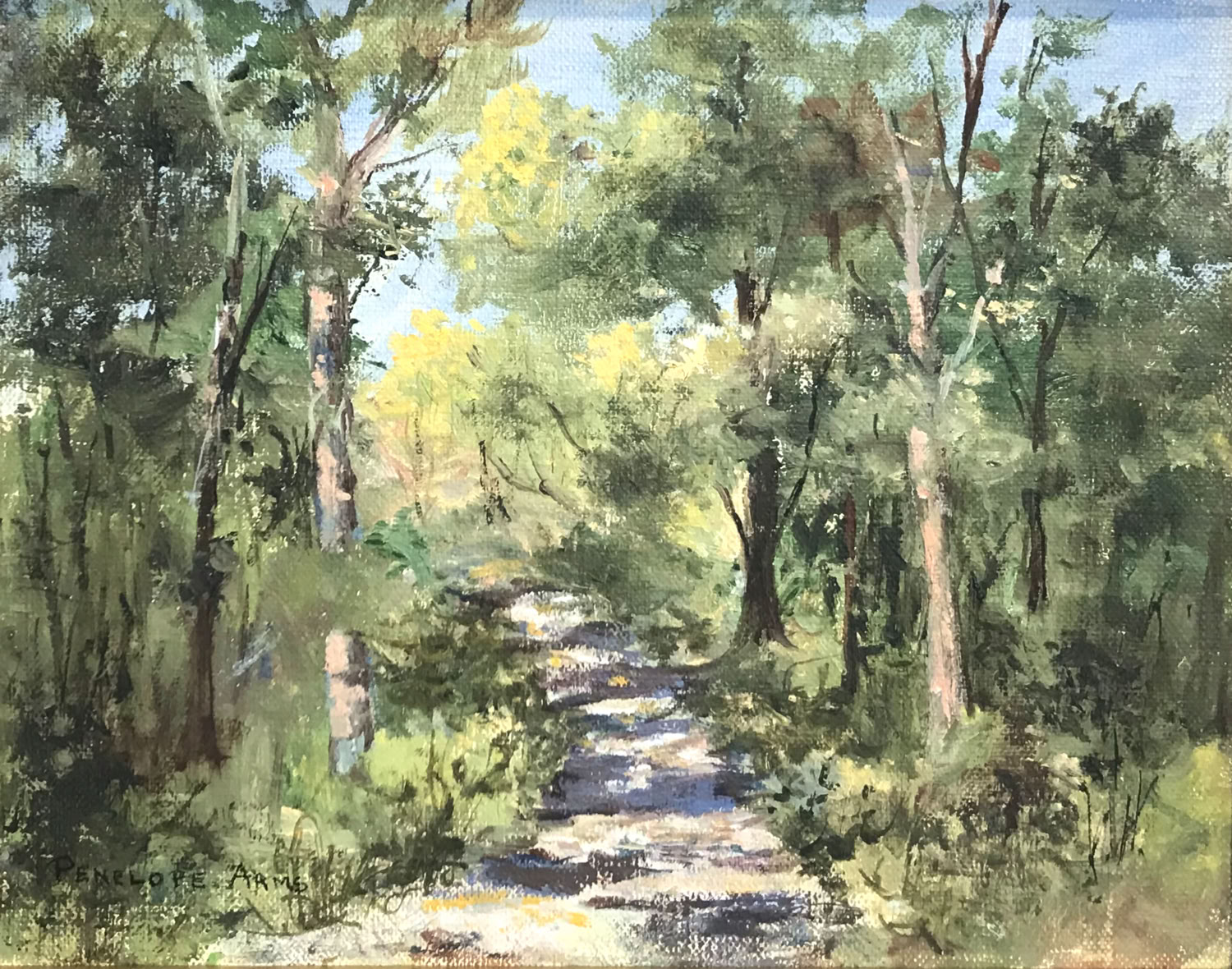 Penelope Arms Pathway Shadows