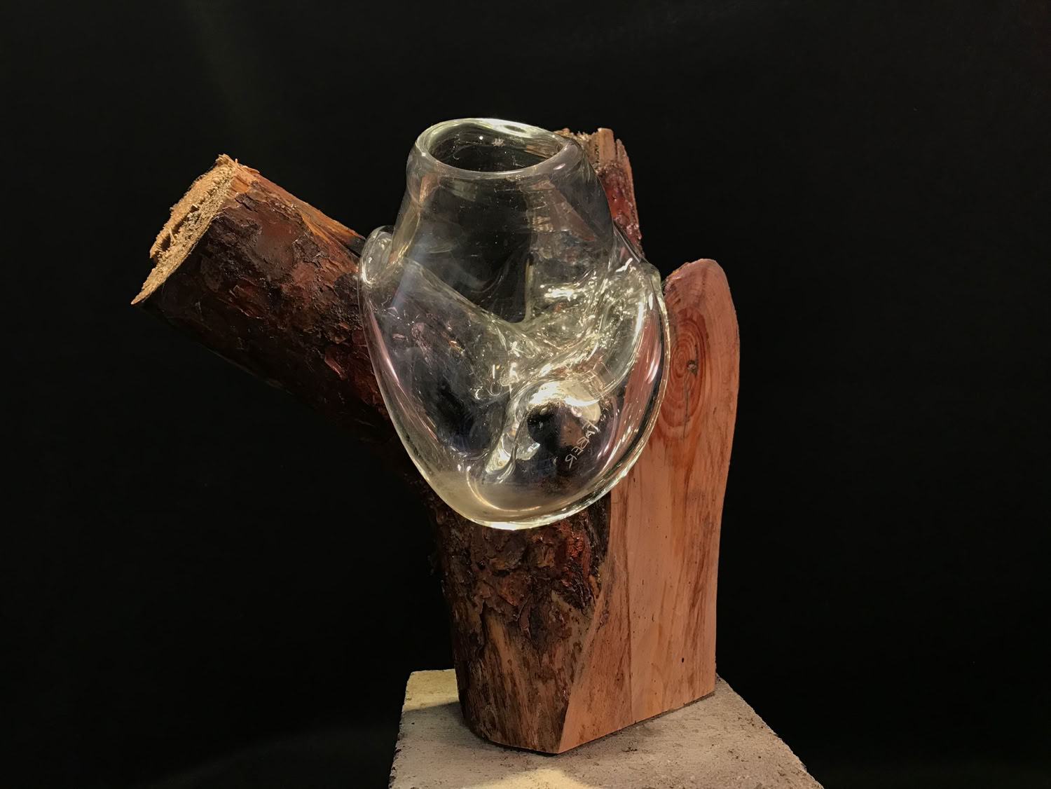 Alissa Faber  Blackened Timber Series: Branch 2017 Blown glass, found wood coated in poly whey, concrete 