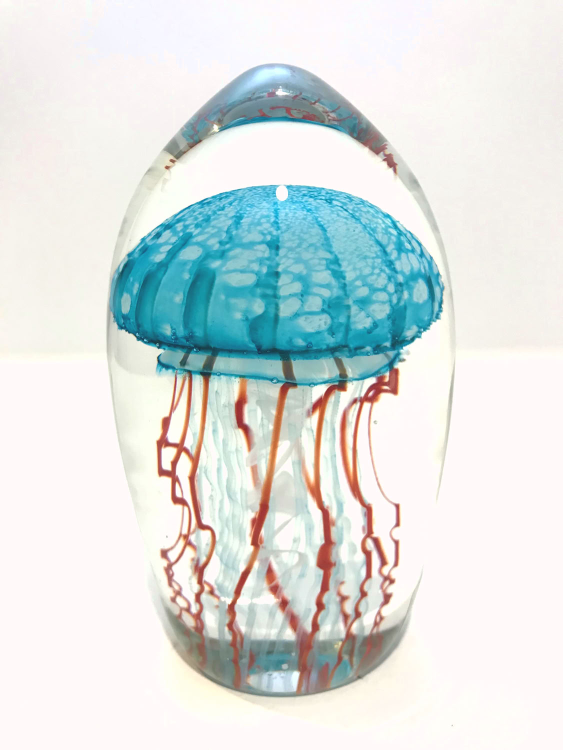 Chris Sherwin Jellyfish