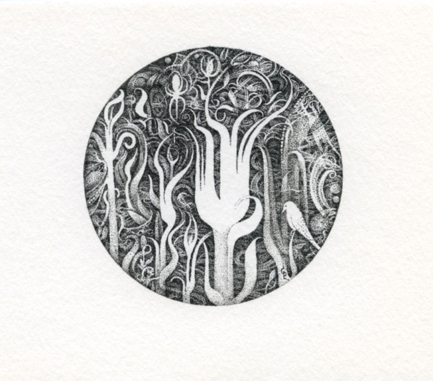 Gil Perry In the Wood