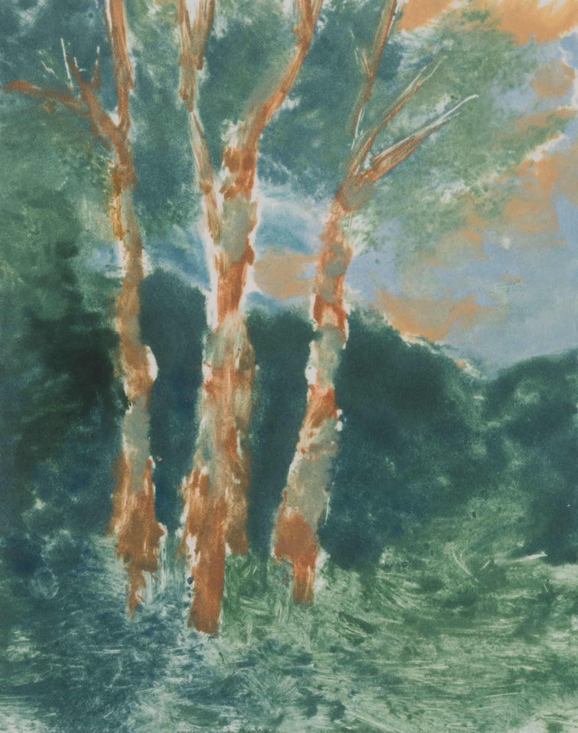 Marcie Maynard Birches