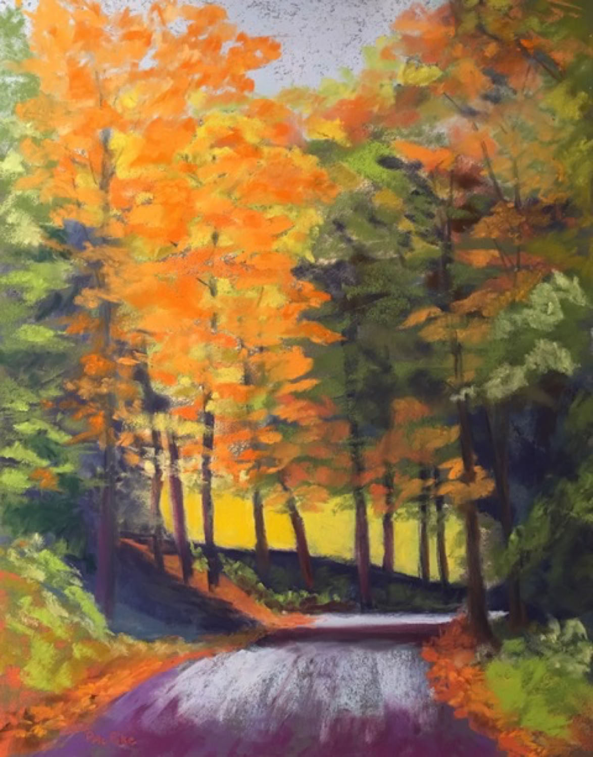 pat-mcpike_pleasant-valley-rd