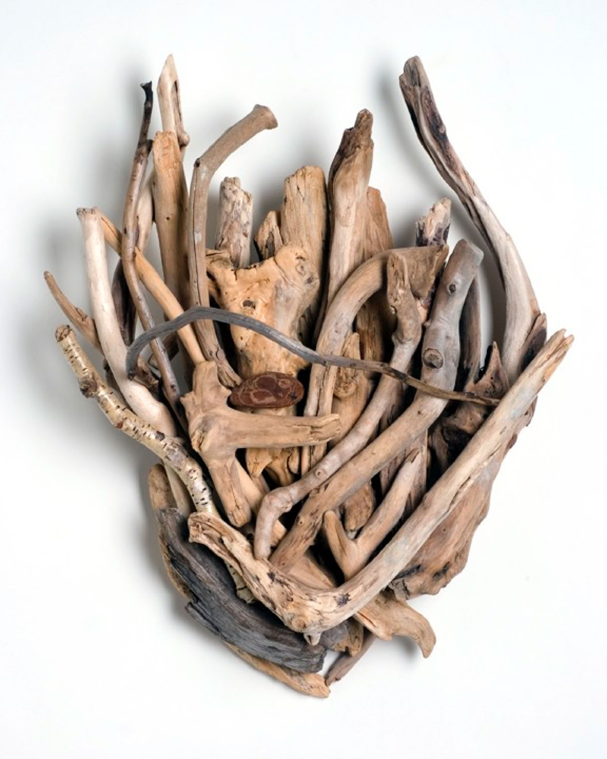 Phyllis Rosser Tidal Pool             