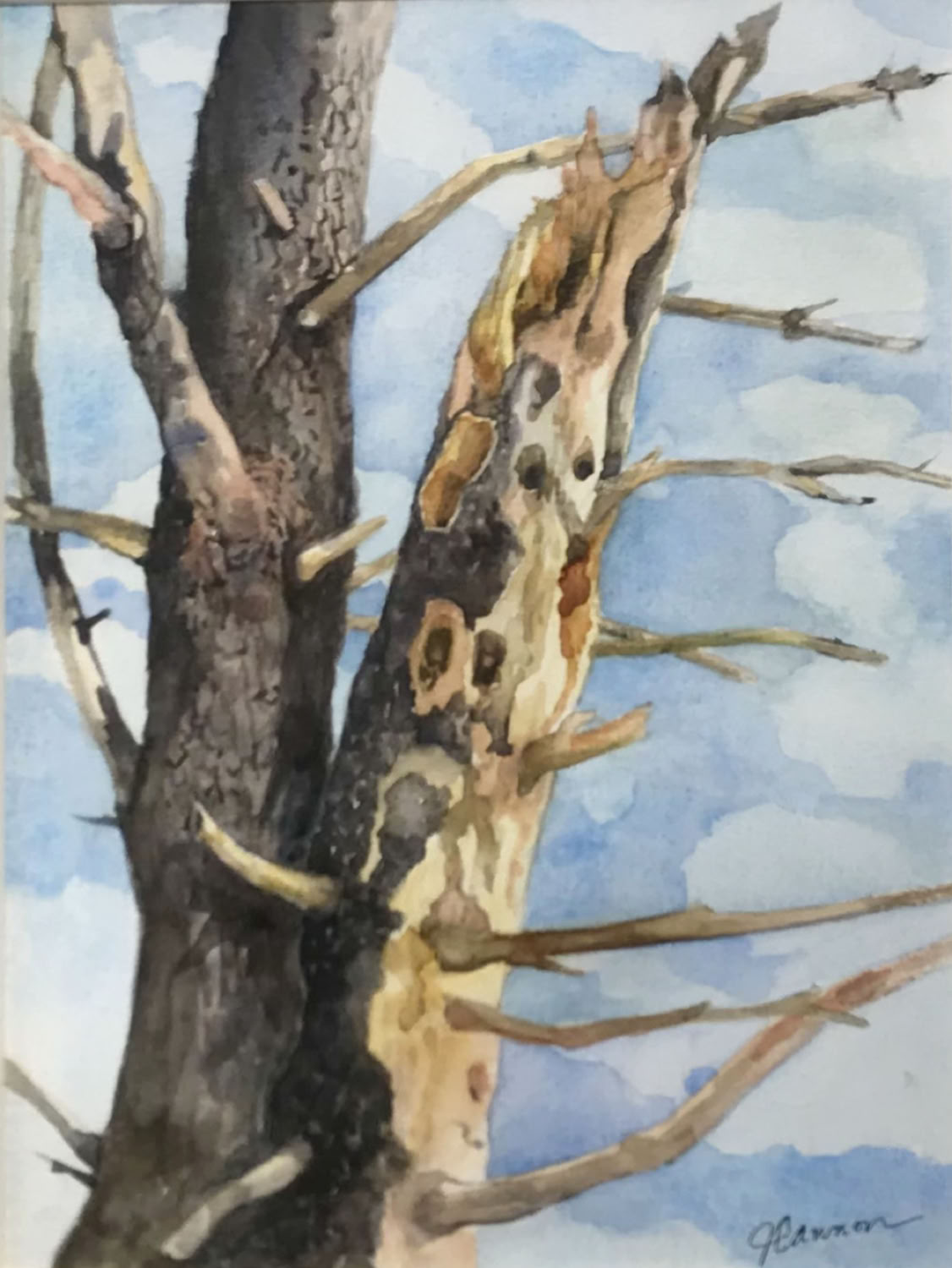 Jean Cannon Woodpecker Tree 2021