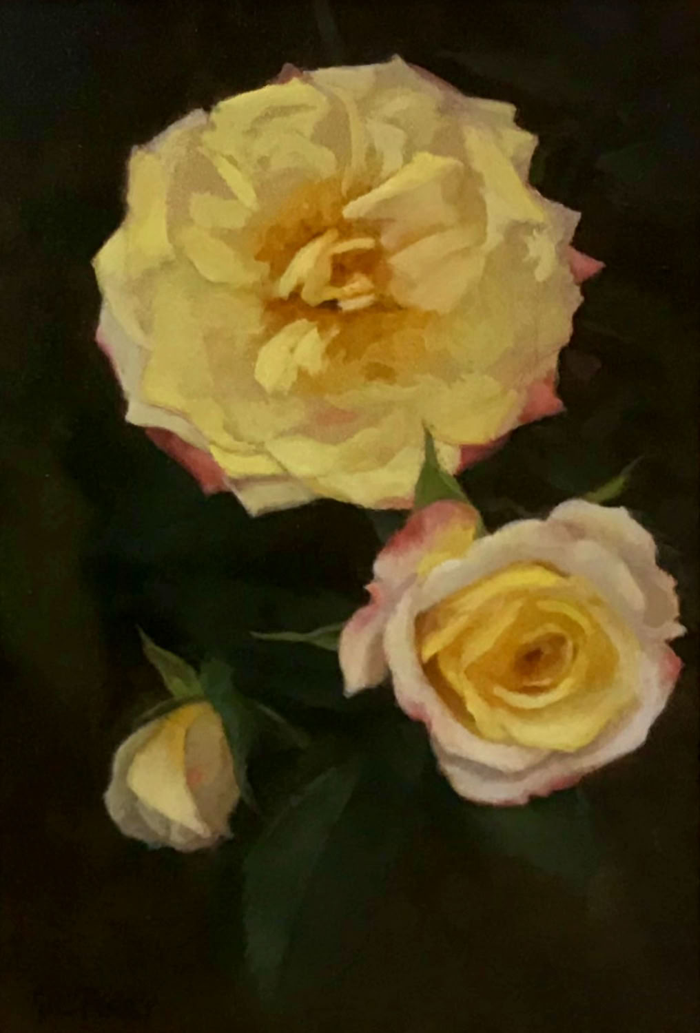 Gil Perry Yellow Roses