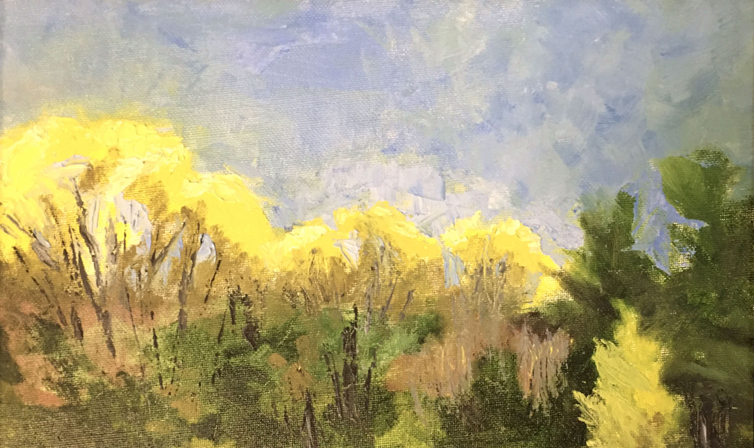 Marcie Maynard First signs of Spring