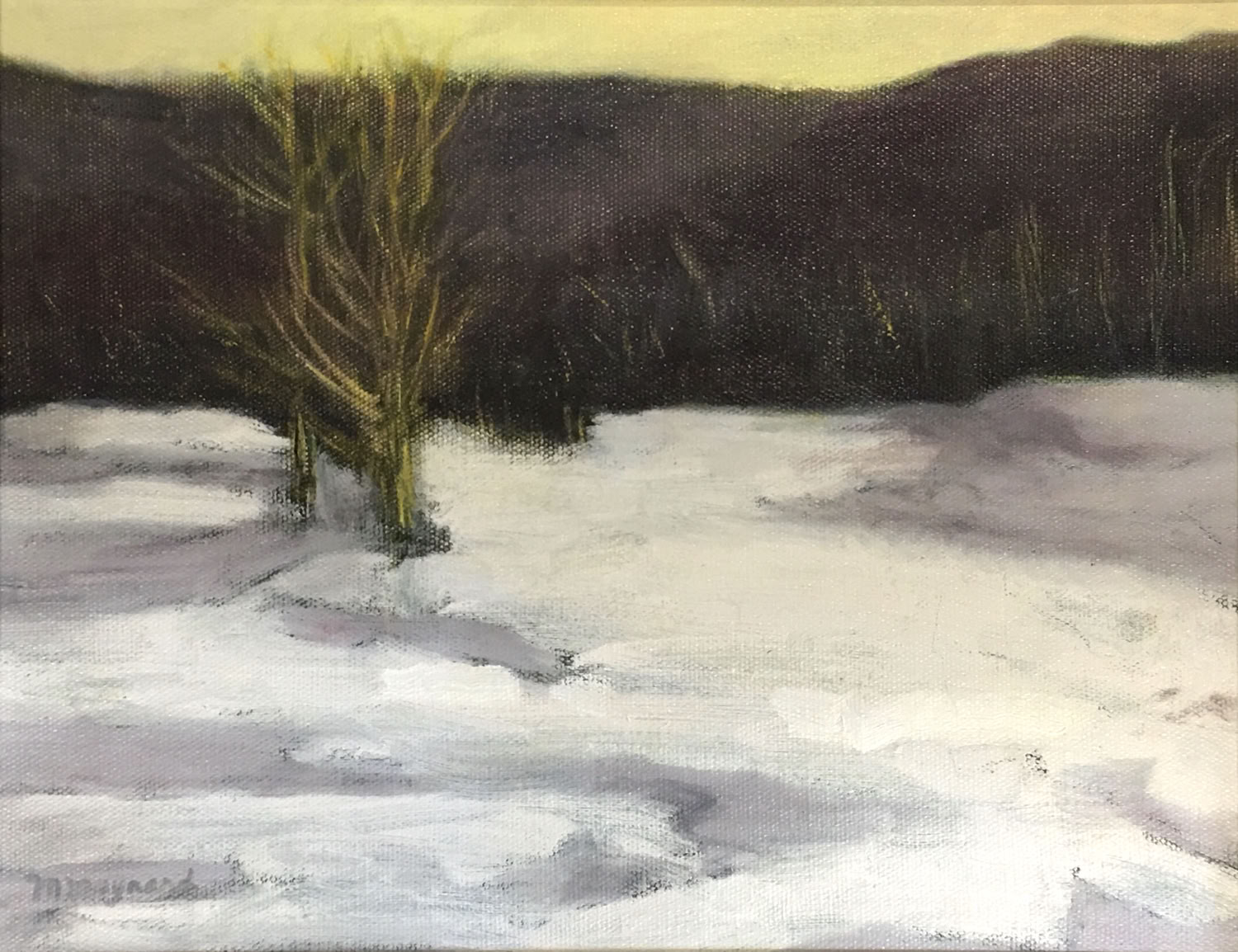 Marcie Maynard Snow Field