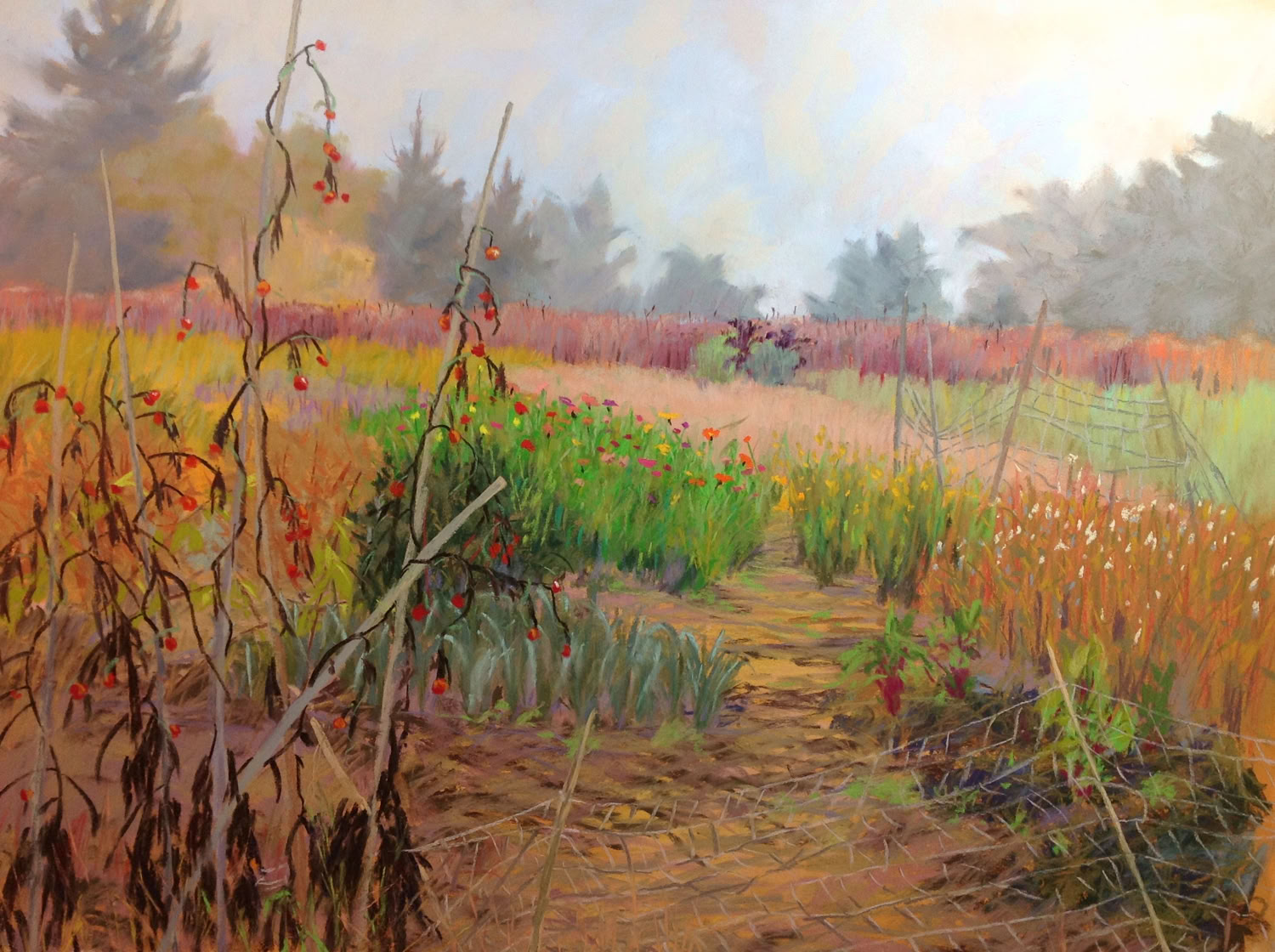 Rodrica Tilley Putney Community Garden