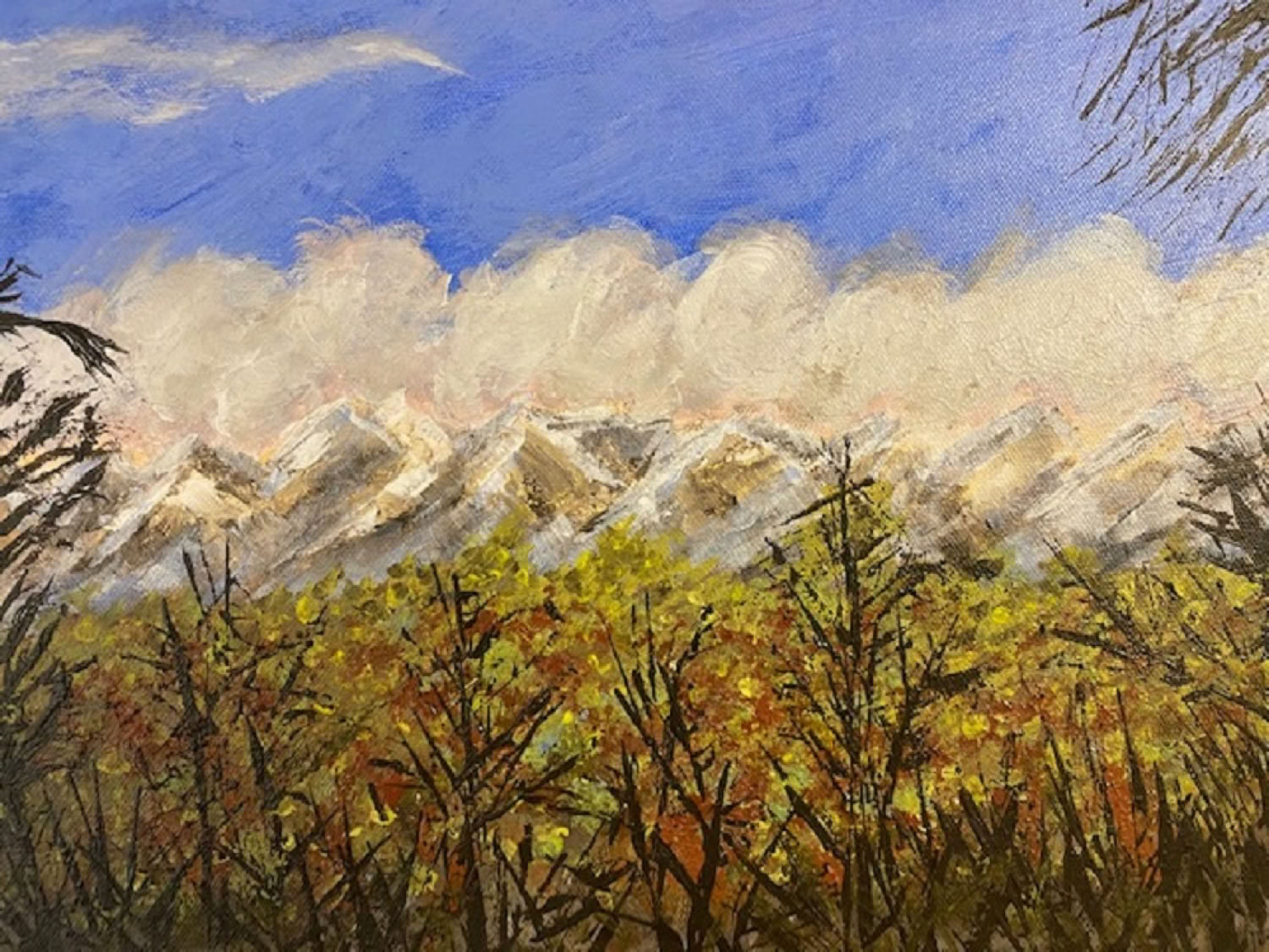 susan-macneil_mountains_2020_acrylic-on-canvas_11x14in