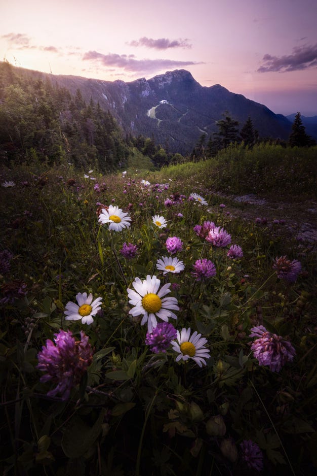 Dorian Sanders Immovable Weight 