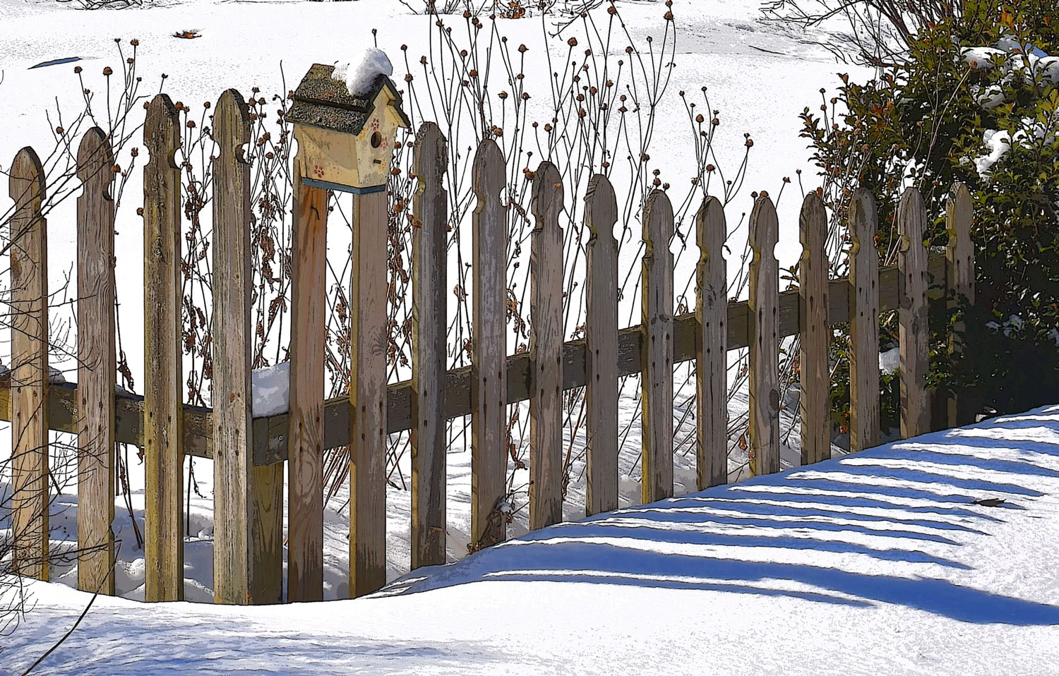 Jeffrey Spring Almost March